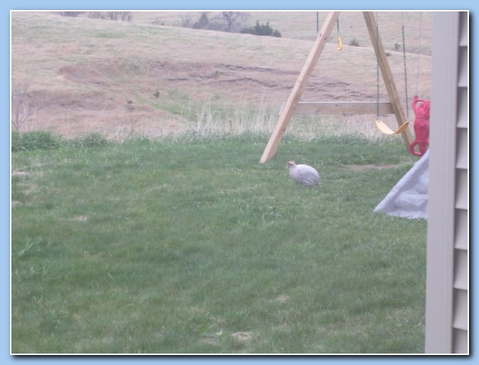 04252009 (3)